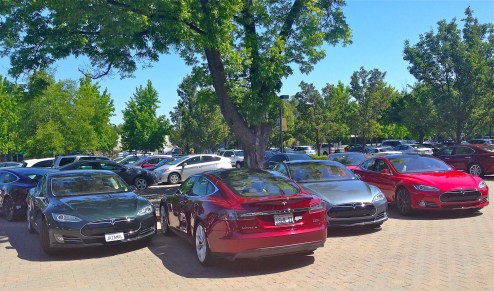 A sea of Teslies at the annual shareholders' meeting. Credit: Steve Jurvetson