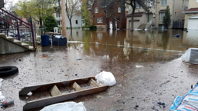 34546367135_44d98ffff5_z